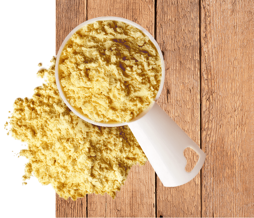 egg product advantages