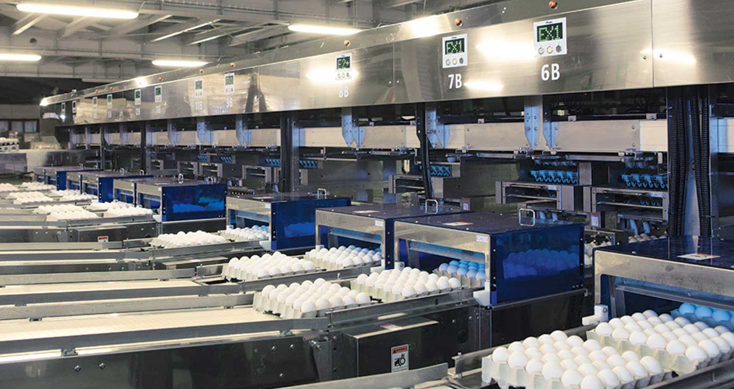 technology Ovostar Union