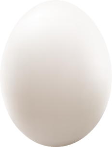 CHICKEN EGGS
