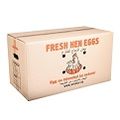 Fresh chicken eggs Ovostar